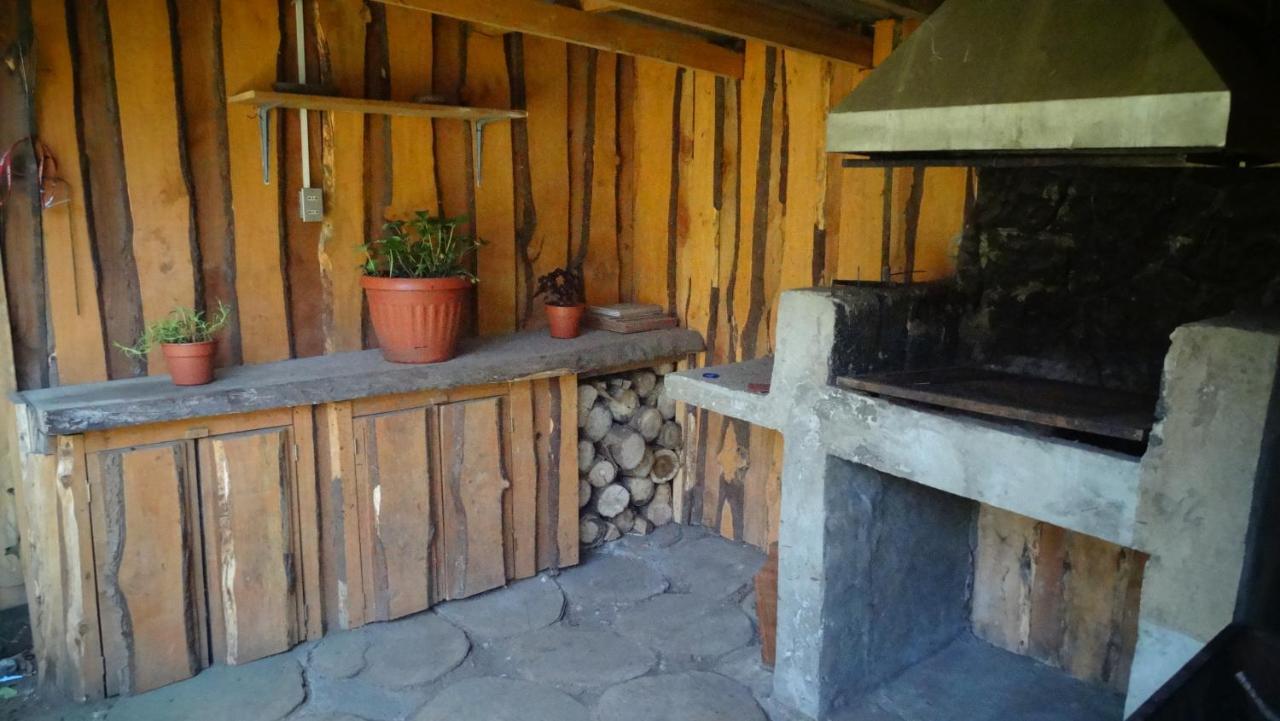 Hospedaje Irma Backpackers Пукон Экстерьер фото